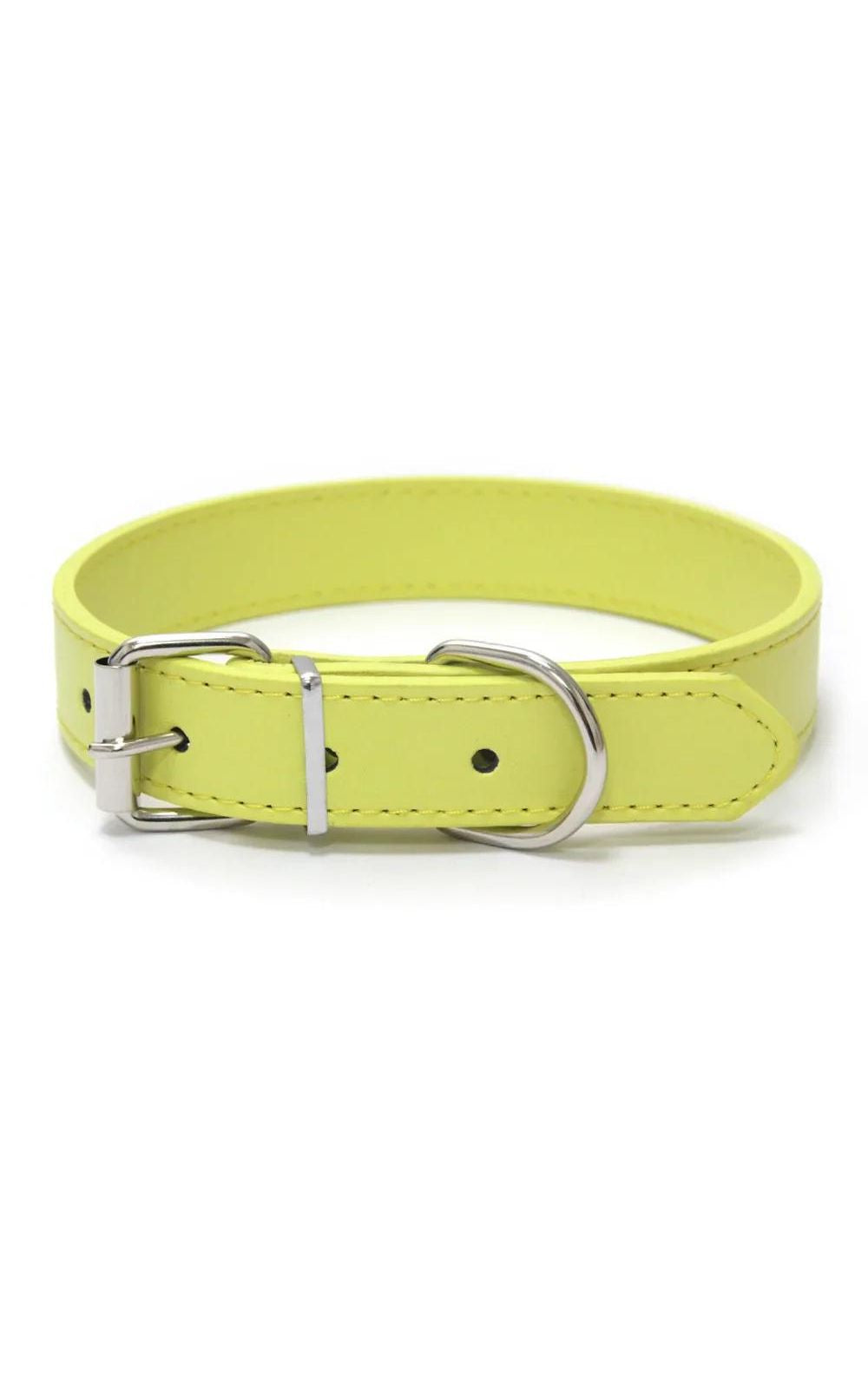 Collier couleur unie en cuir pour chien