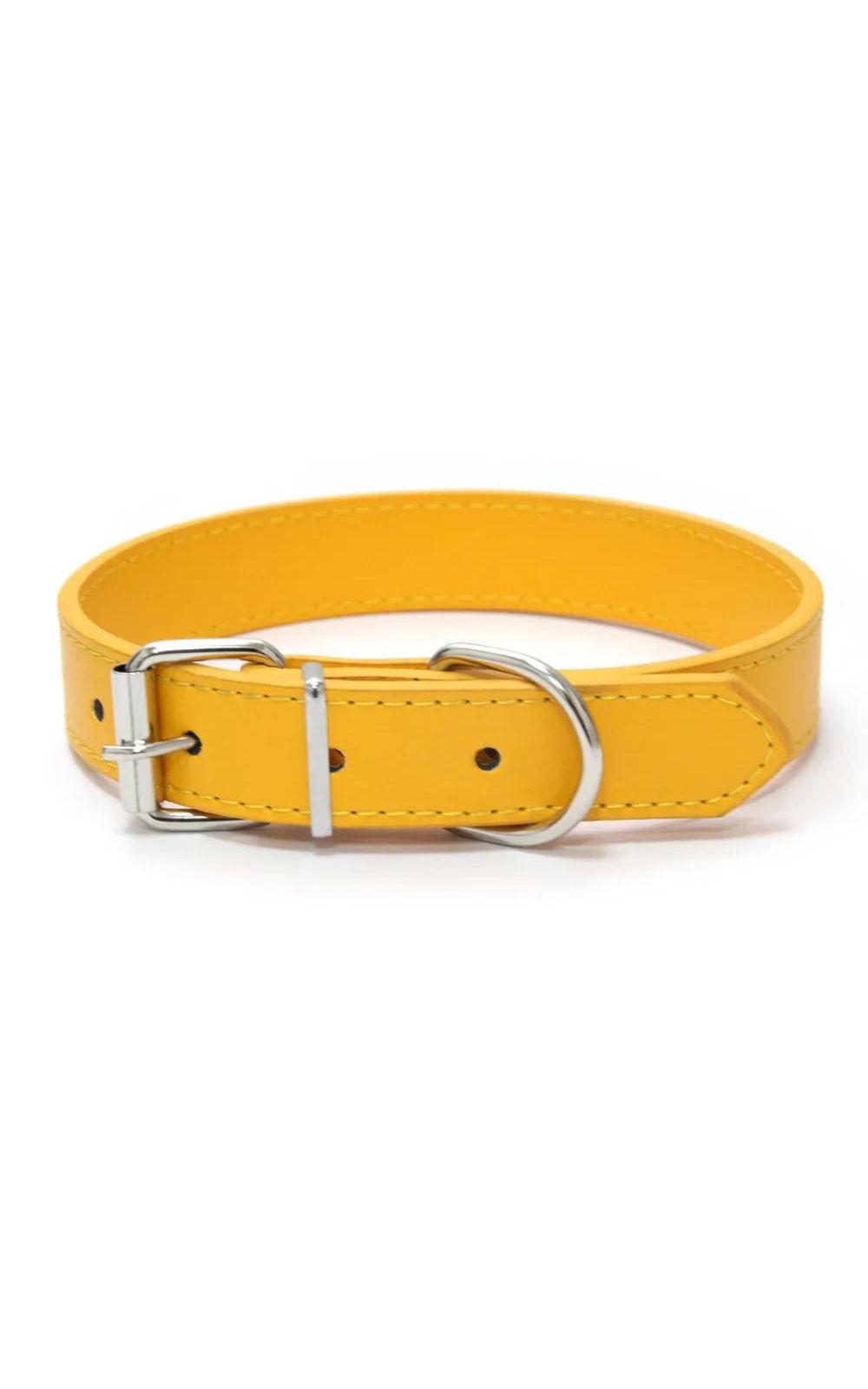 Collier couleur unie en cuir pour chien