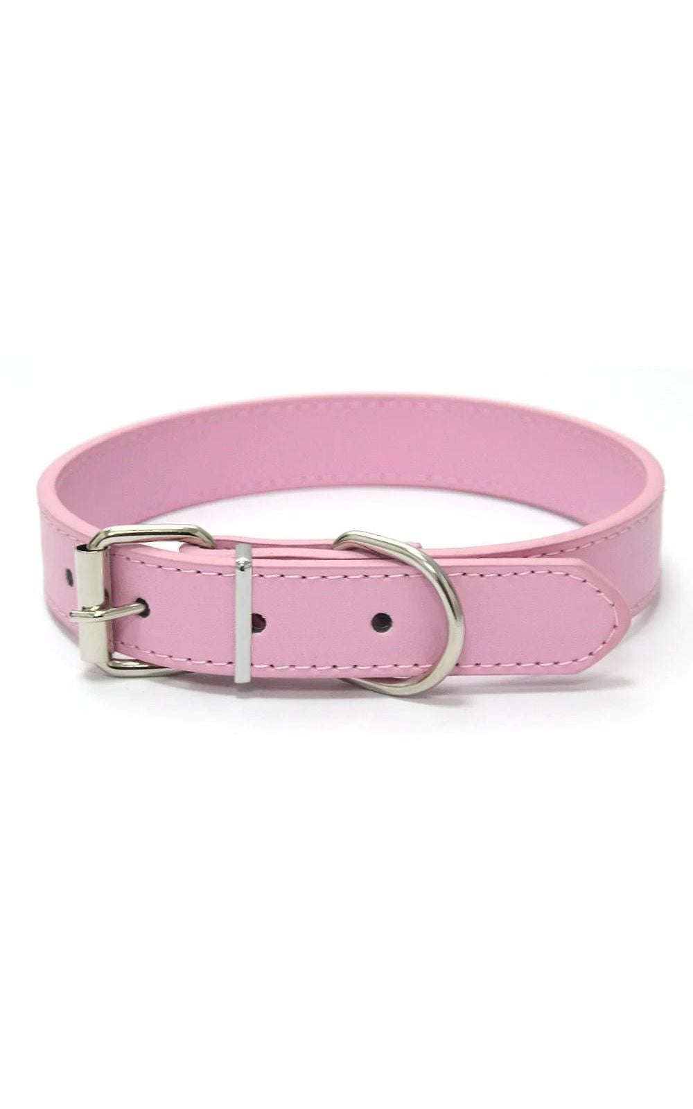 Collier couleur unie en cuir pour chien