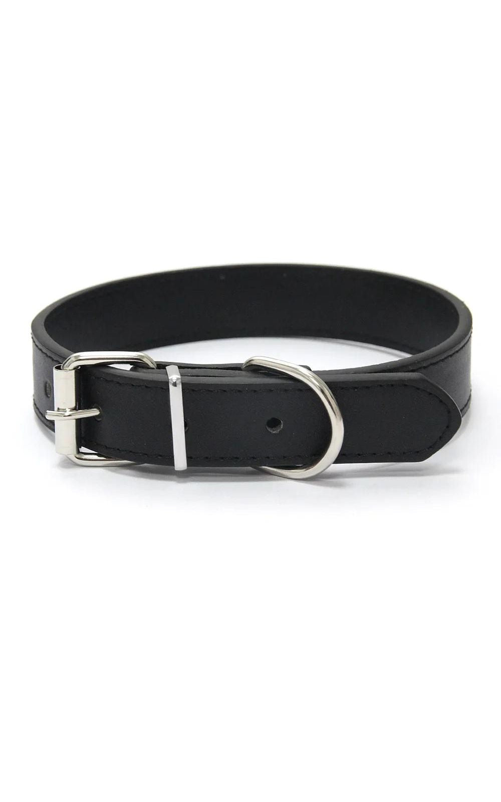 Collier couleur unie en cuir pour chien