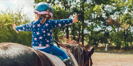 L'équipement pour l'équitation : Offrez à votre cheval le confort et la sécurité qu'il mérite !