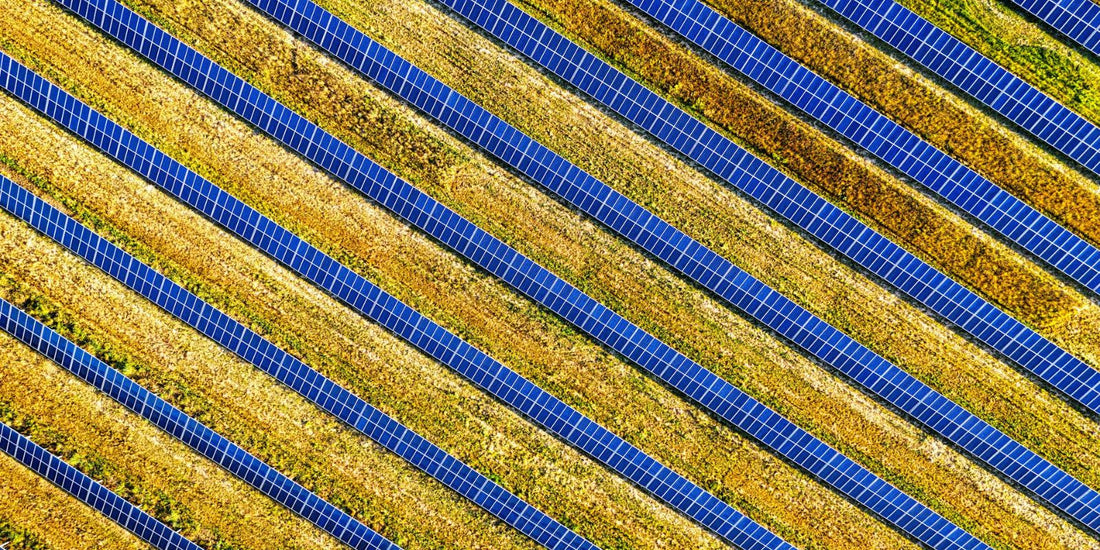 Découvrez la menace cachée derrière les panneaux solaires ! Et si vos animaux de compagnie étaient en danger ?