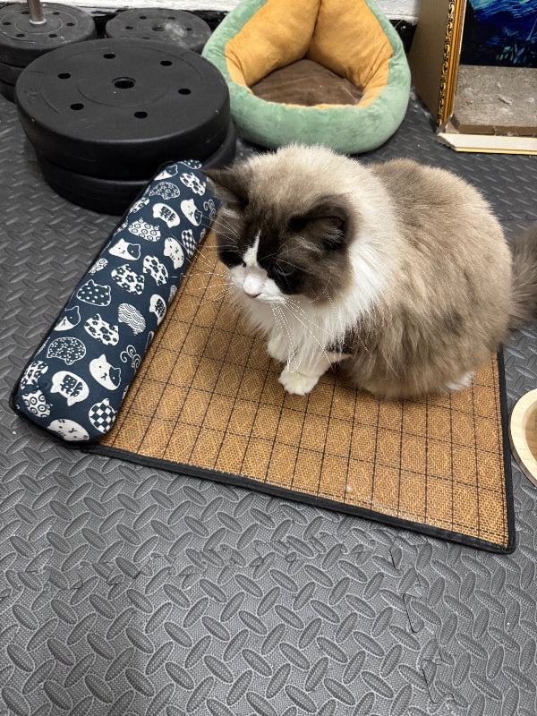 Dailypets Summer Cooling Rattan Pet Mat with Bolster Pillow for Cats