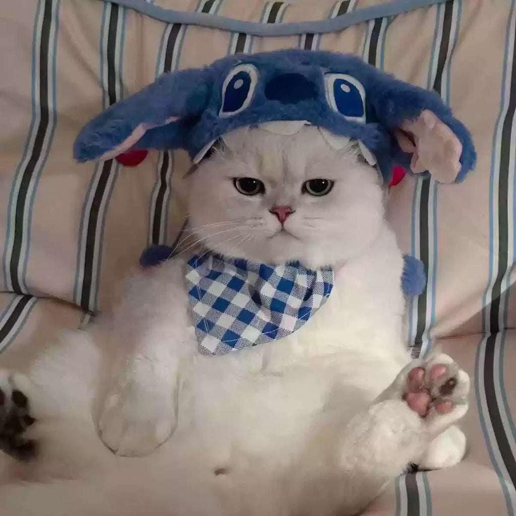 Dailypets Cartoon Character Cat Hat with Matching Bandana for Indoor Cats