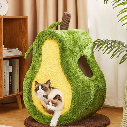 Poupipets Avocado Cat Scratcher Bed with Enclosed Cat Cave and Built-In Scratching Surface