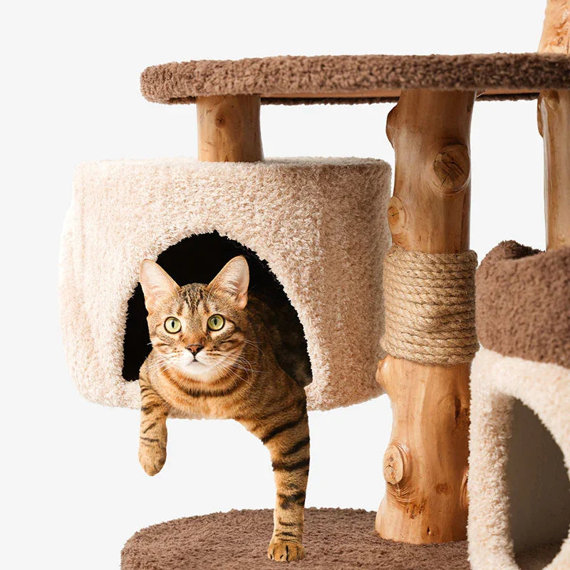 Dailypets Solid Wood Mushroom Cat Tree with Multi-Level Platforms and Sisal Scratching Posts