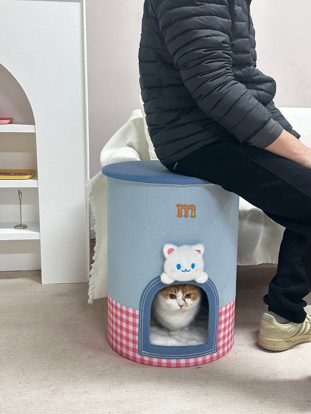 Dailypets Stylish 2-in-1 Cat Furniture with Enclosed Bed and Storage Compartment