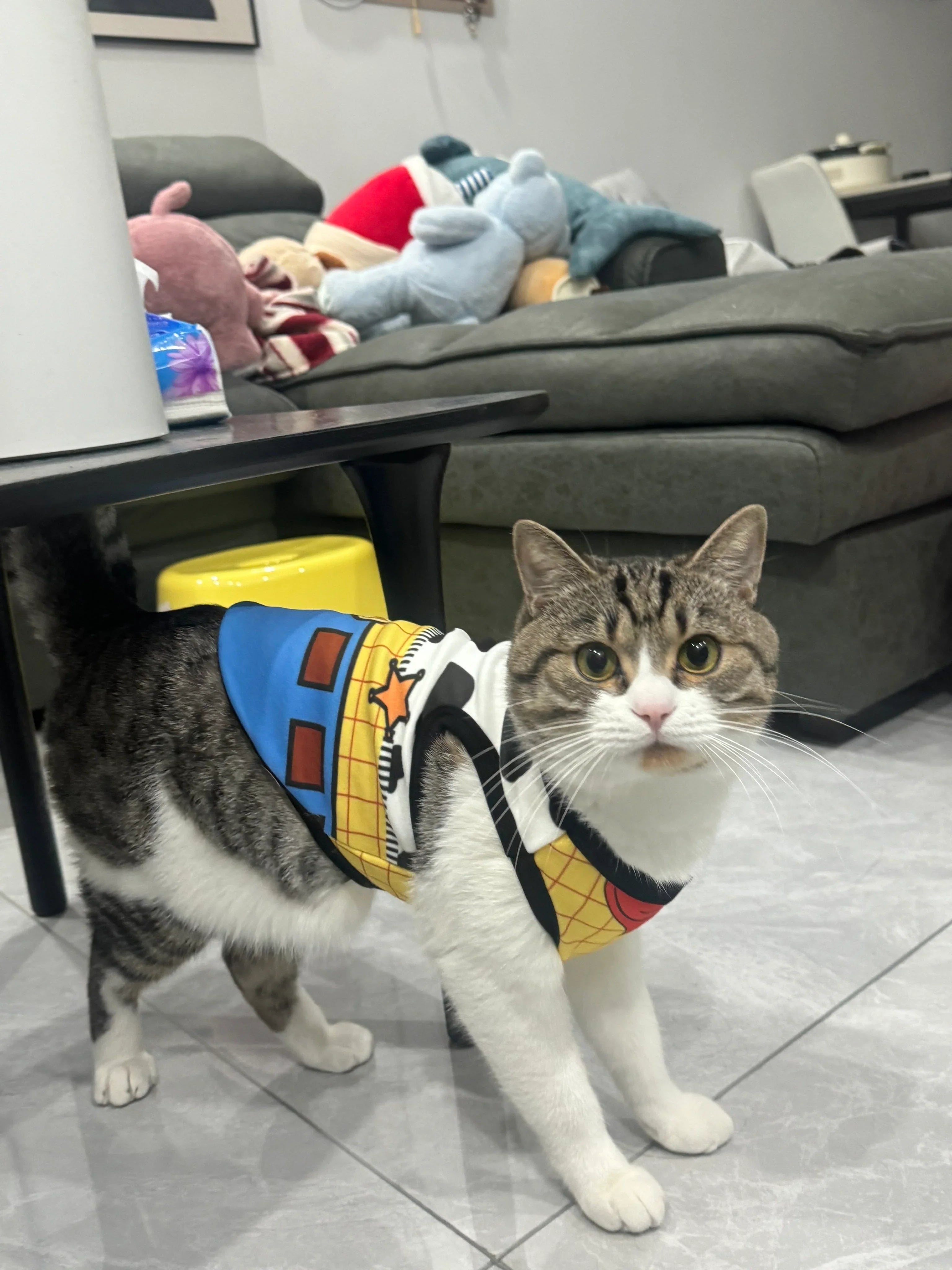 Dailypets Toy-Inspired Cat Vest Costume for Indoor Cats with Comfortable Everyday Fit