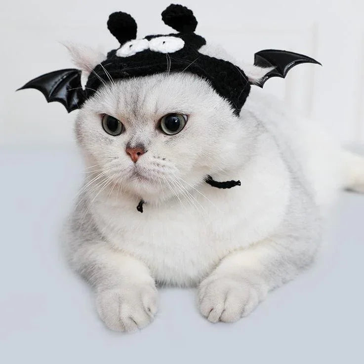 Dailypets Halloween Bat Pet Costume Set with Hat and Pumpkin Bib