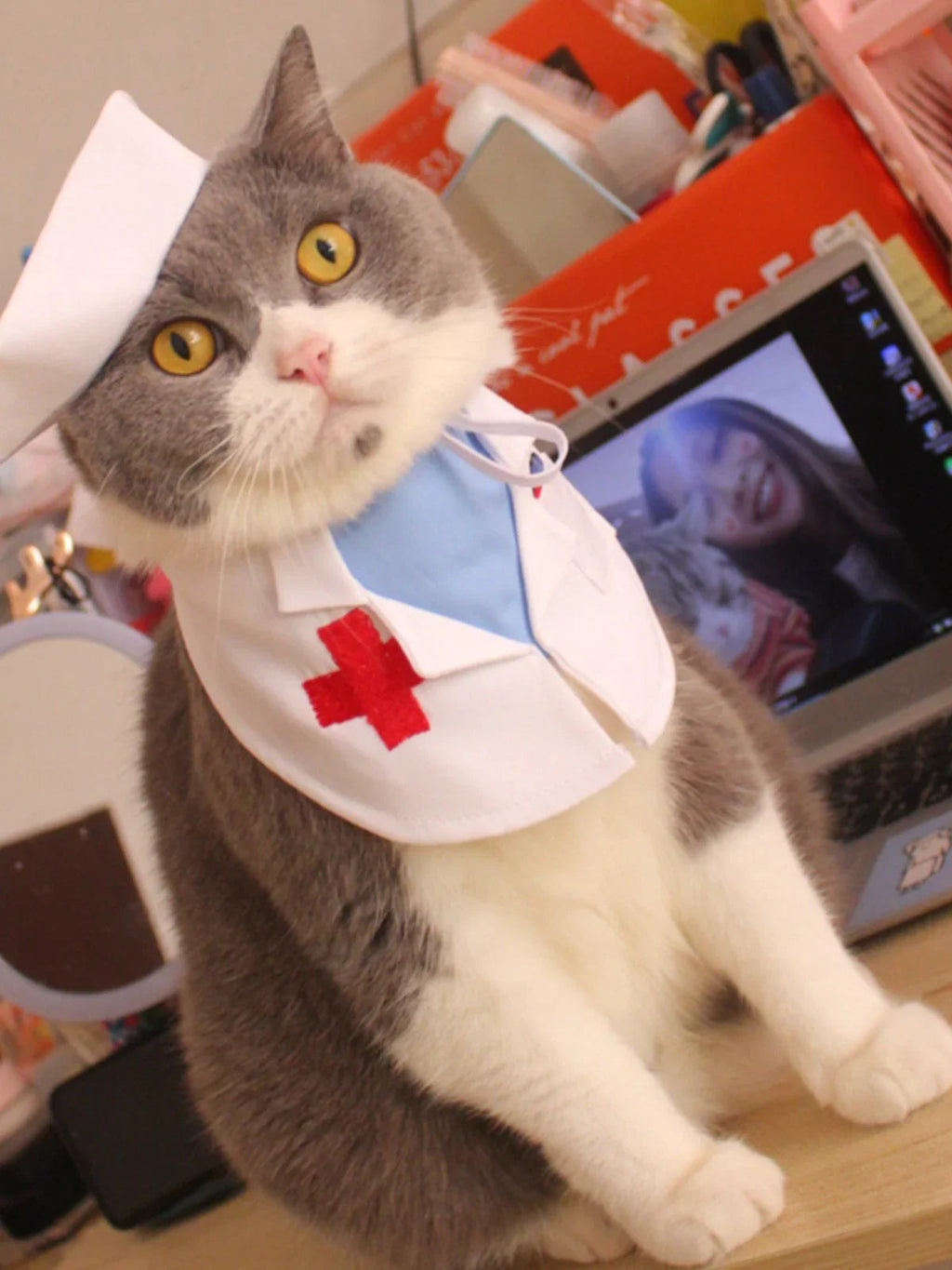 Dailypets Medical-Themed Cat Costume Set for Parties and Special Occasions