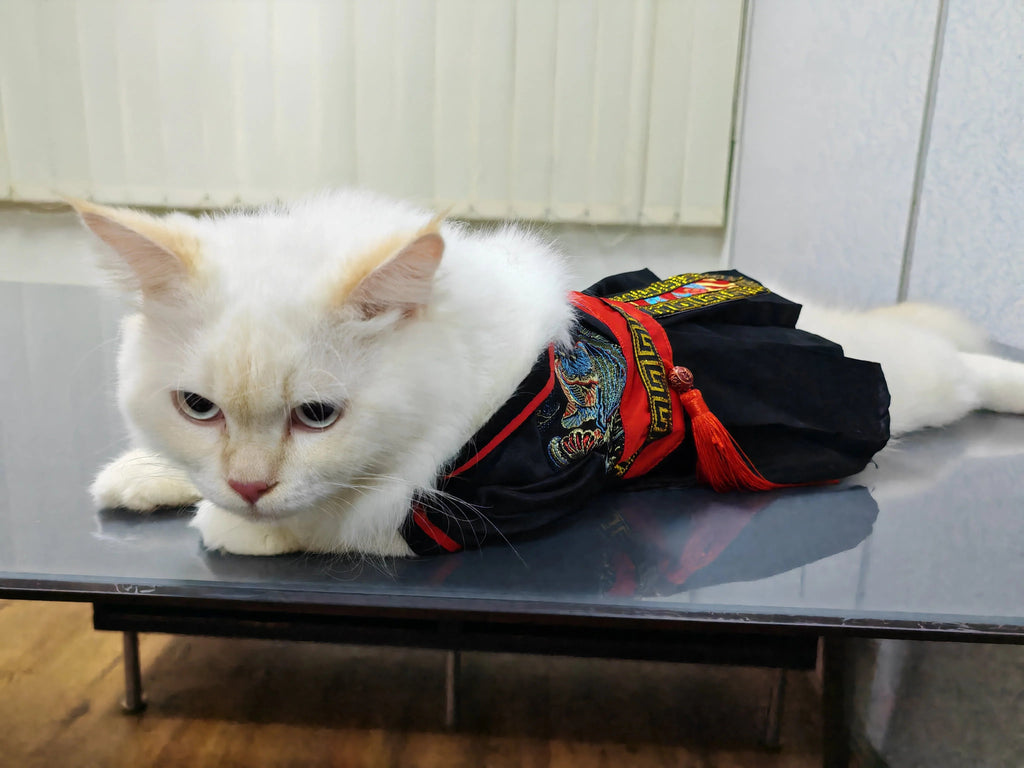 Dailypets Ancient Warrior Cat Costume with Traditional Hanfu-Inspired Design