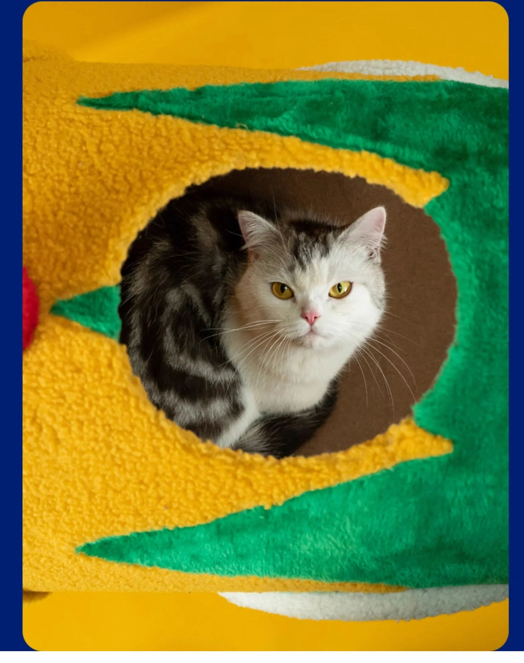 Dailypets Circus Cat Furniture Series – Cat Trees and Cozy Cat Bed Collection