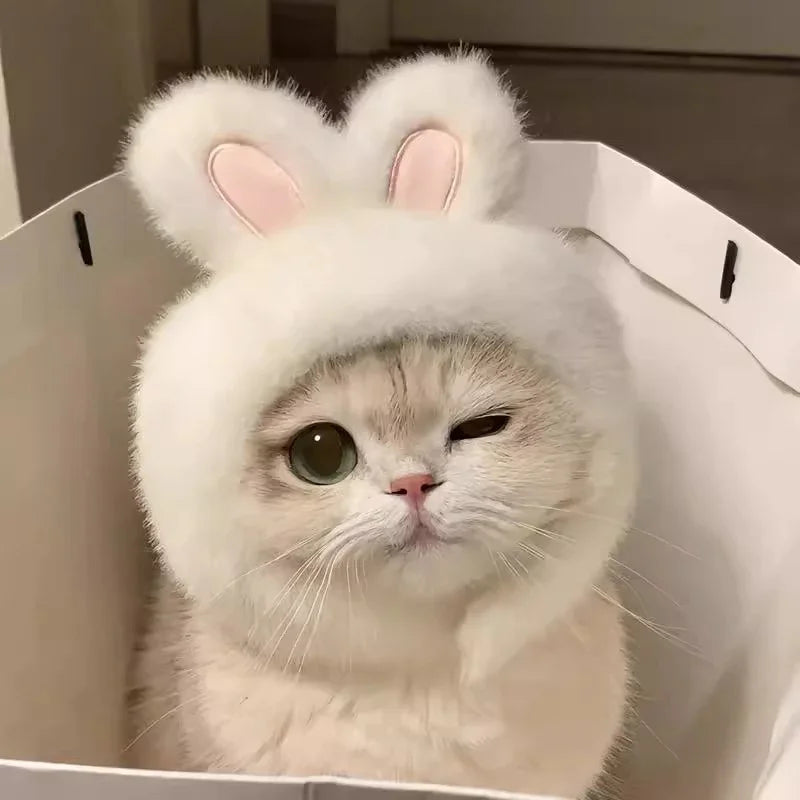 Dailypets Plush Animal Cat Hat for Parties and Memorable Photos