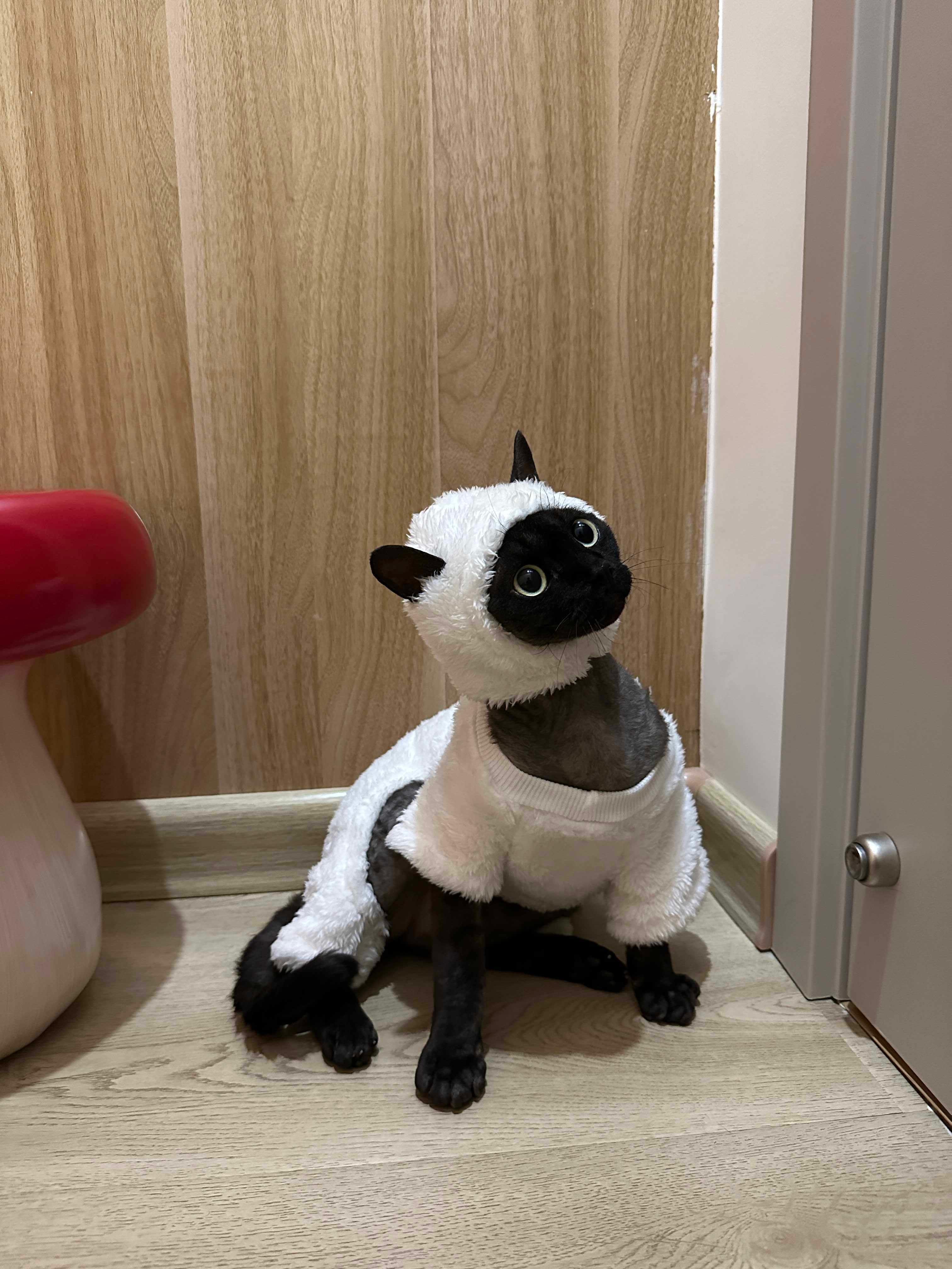 Dailypets Sheep Cat Costume with Soft Fleece and Full-Coverage Design