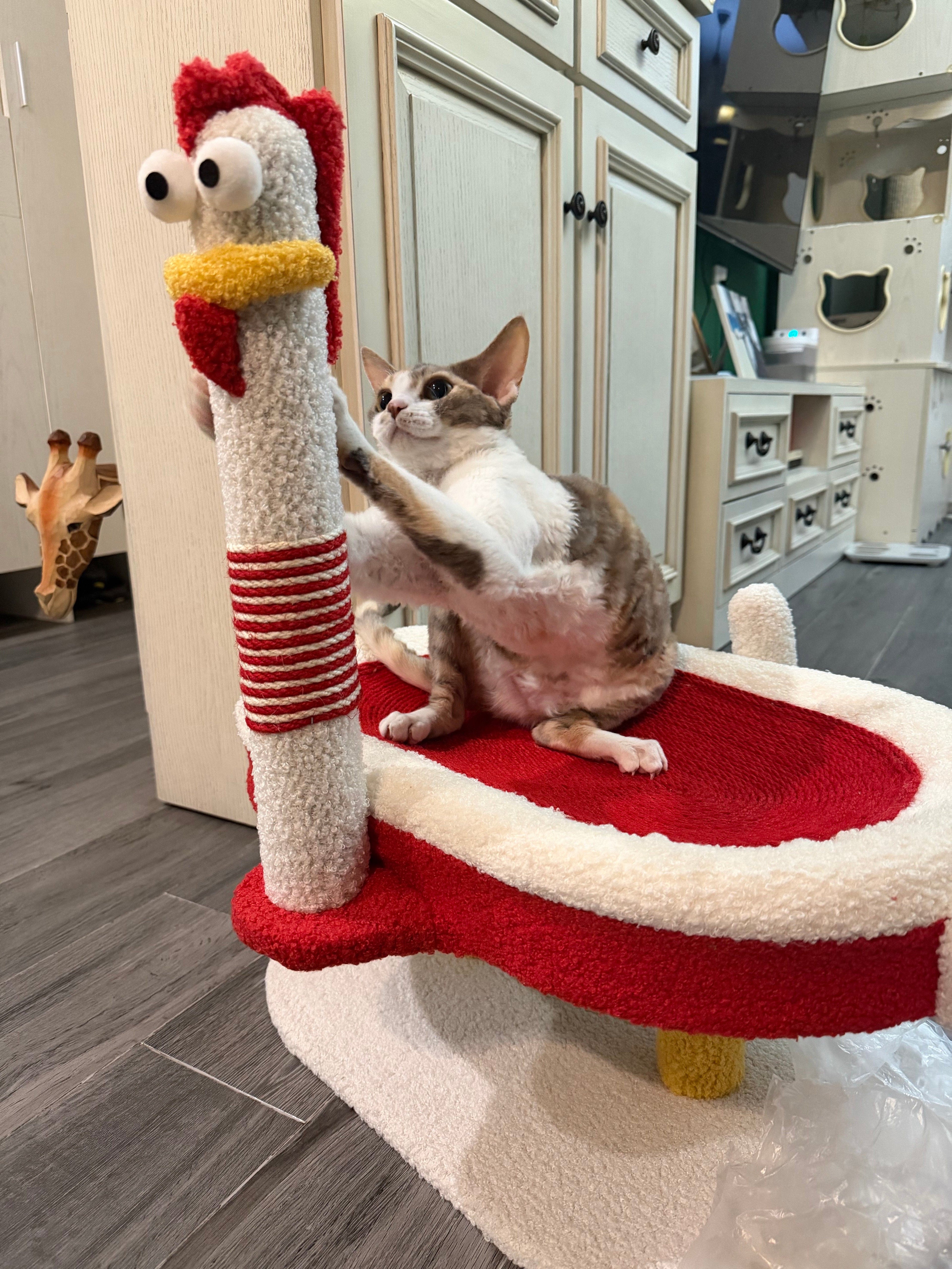 Dailypets Chicken Cat Scratching Post with Cozy Cat Bed and Sisal Scratching Pole