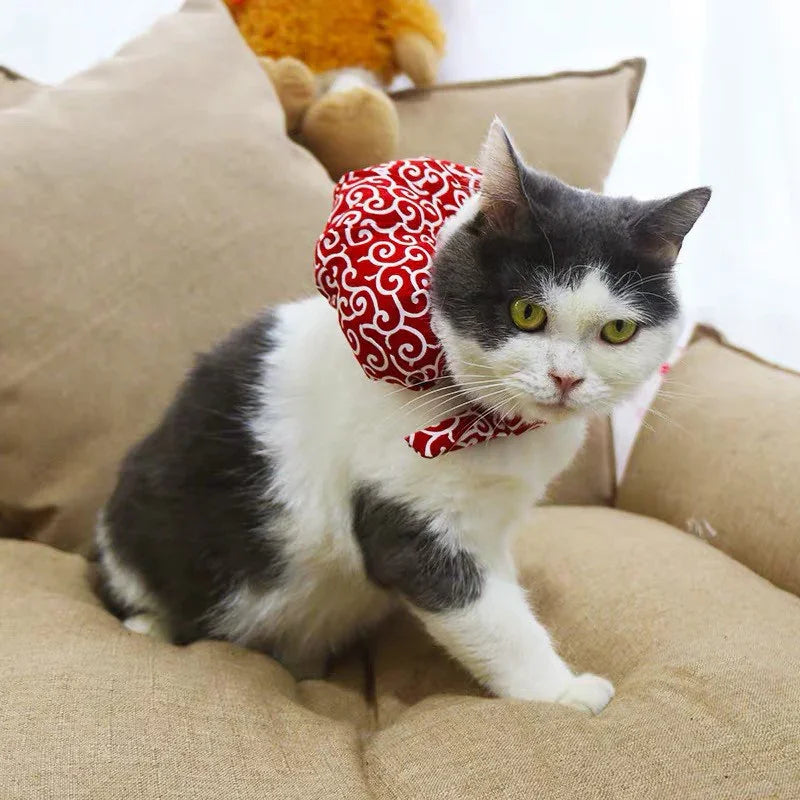 Dailypets Soft Chiffon Cat Scarf with Playful Backpack Detail
