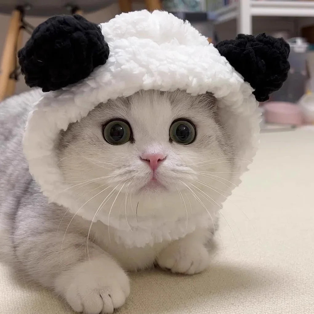 Dailypets Plush Animal Cat Hat for Parties and Memorable Photos