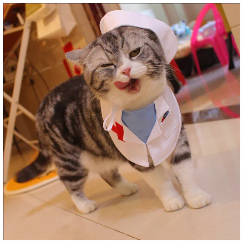 Dailypets Medical-Themed Cat Costume Set for Parties and Special Occasions