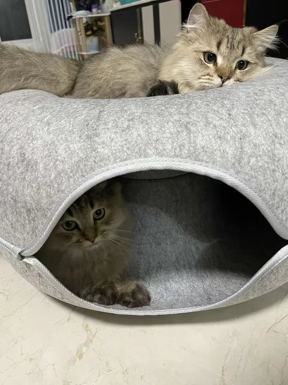 Dailypets Felt Cat Tunnel Bed with Enclosed Double-Layer Hideaway for Play and Rest