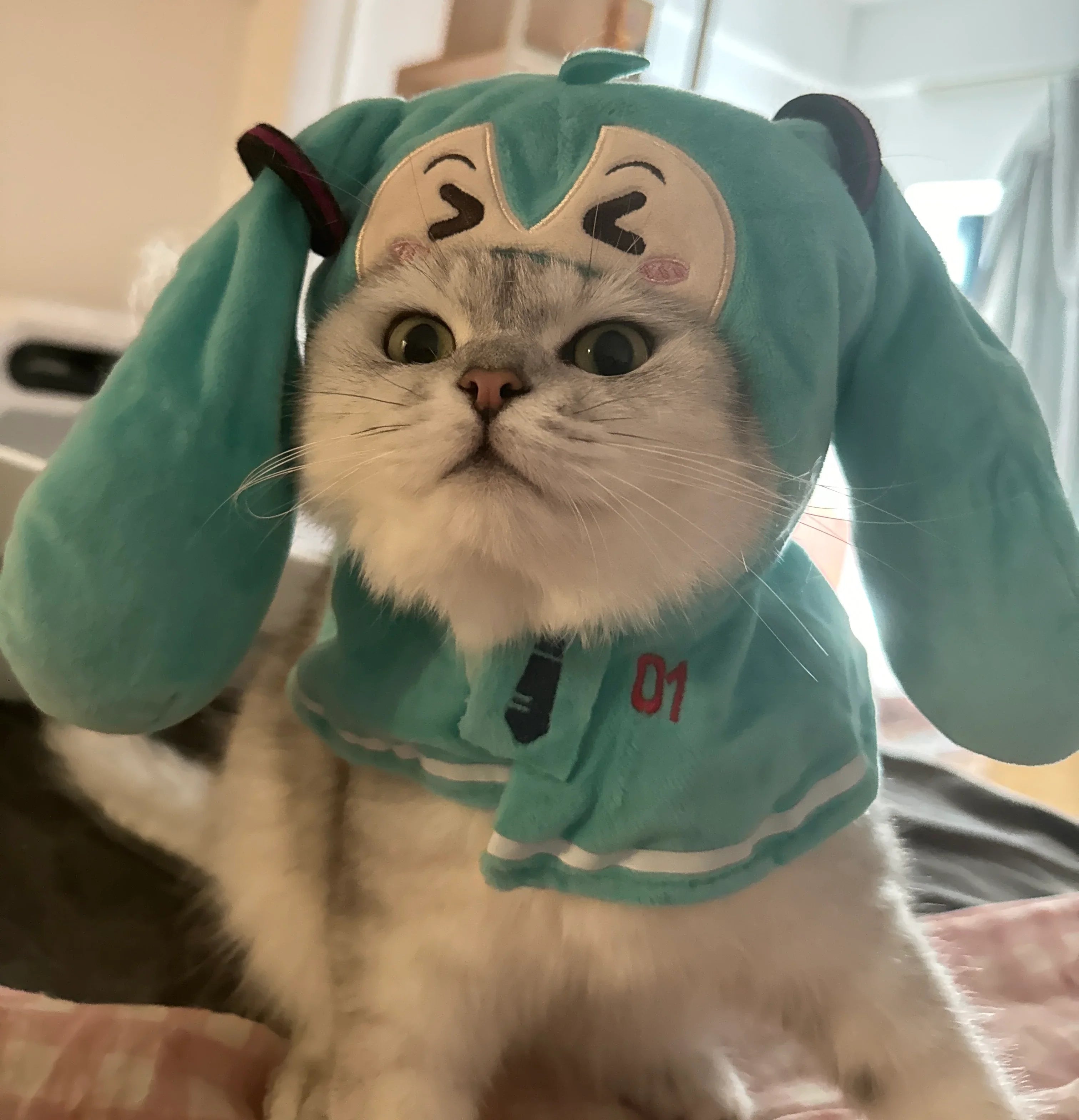 Dailypets Character-Inspired Cat Shawl with Soft Fabric and Mint Green Design
