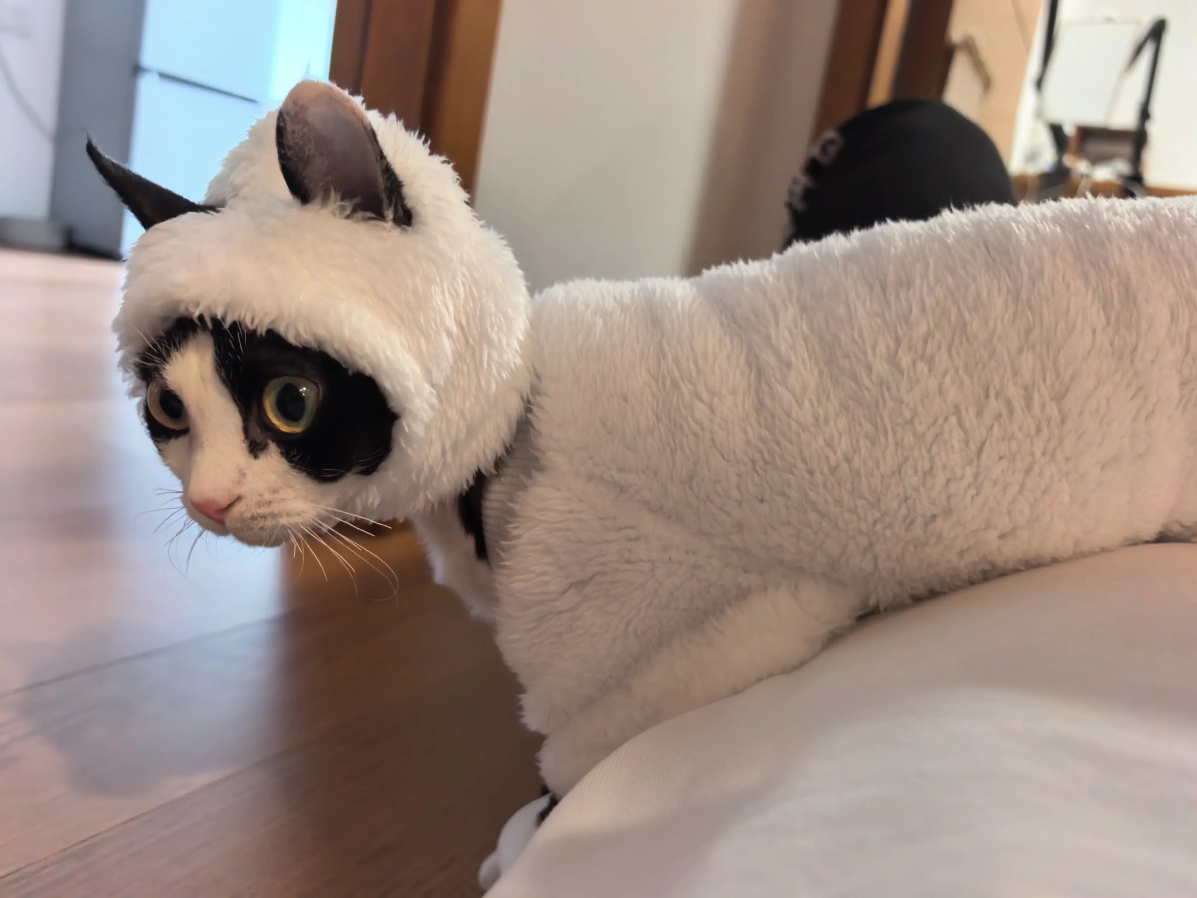 Dailypets Sheep Cat Costume with Soft Fleece and Full-Coverage Design