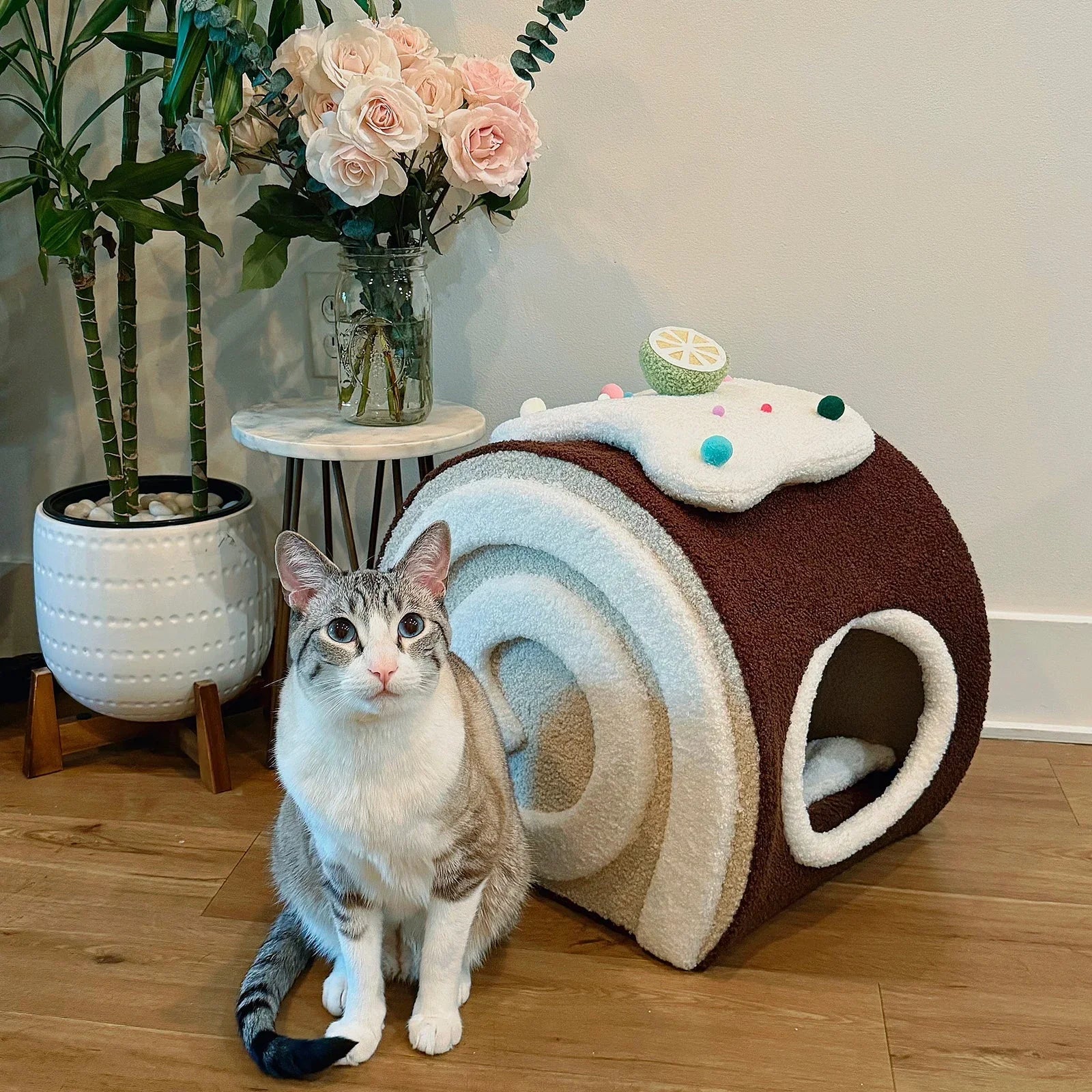 Dailypets Cozy Cat Hideaway Bed with Teddy Velvet Interior and Enclosed Sleeping Space
