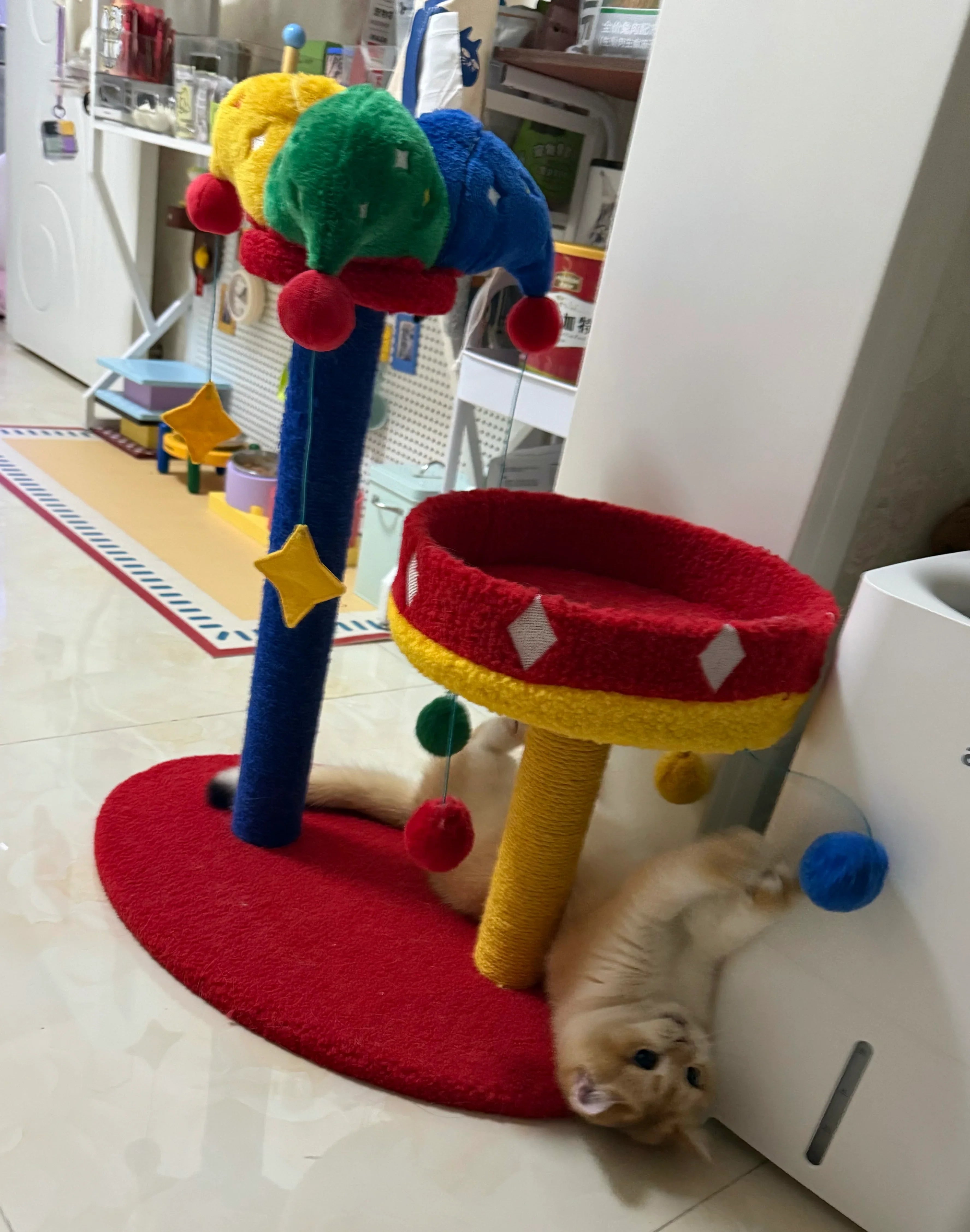 Dailypets Circus Cat Furniture Series – Cat Trees and Cozy Cat Bed Collection