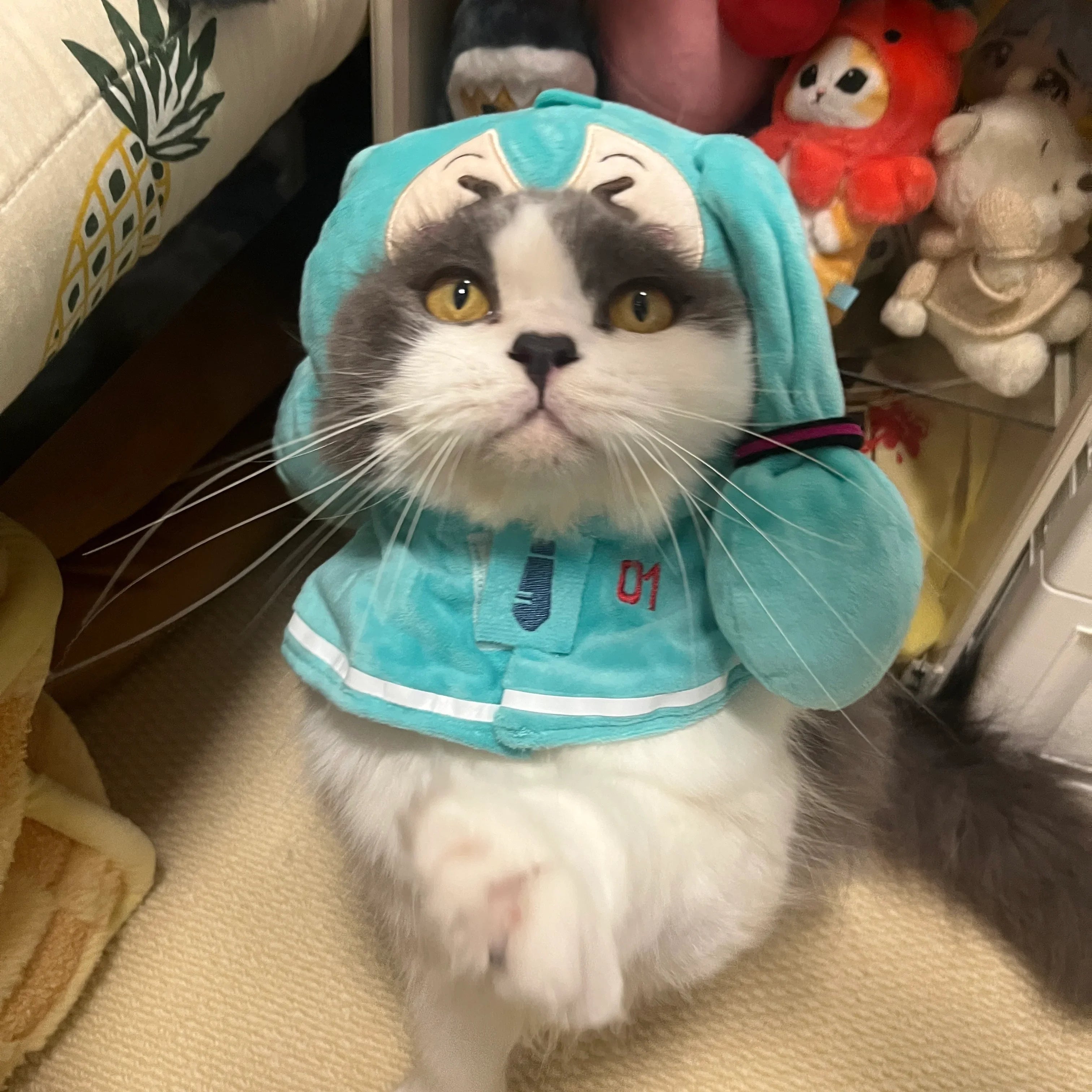 Dailypets Character-Inspired Cat Shawl with Soft Fabric and Mint Green Design