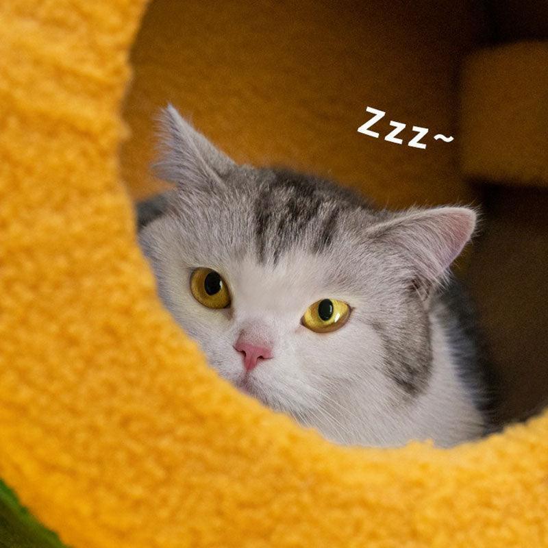 Dailypets Circus Cat Furniture Series – Cat Trees and Cozy Cat Bed Collection