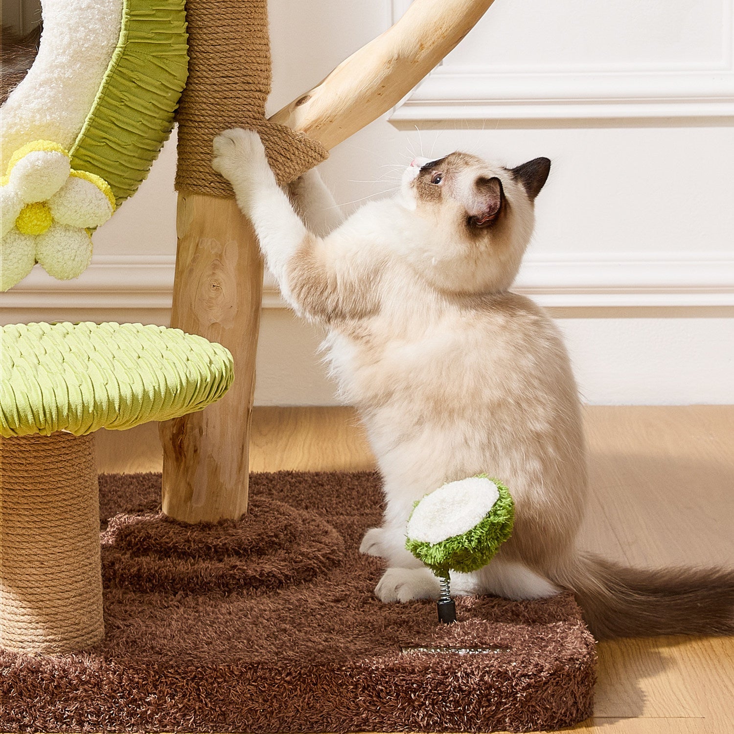 Dailypets Natural Wood Cat Tree with Coconut Cat Bed and Multi-Level Climbing Platforms