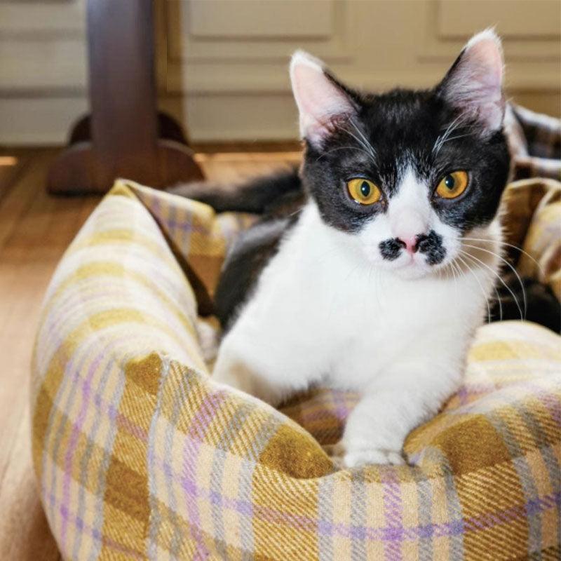 Dailypets Retro Cat Sofa Bed – Cushioned Plaid Pet Bed with Removable Cover