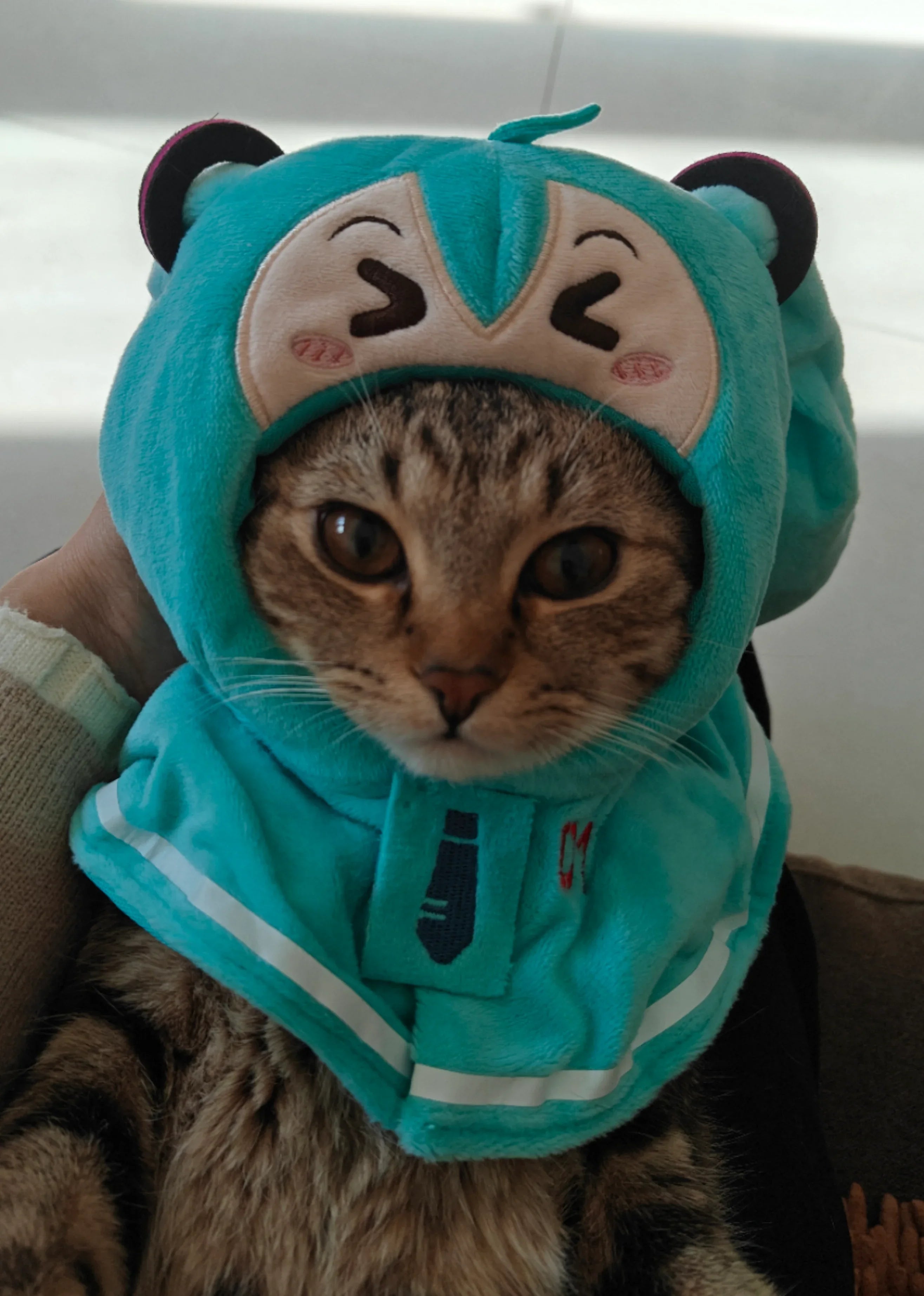 Dailypets Character-Inspired Cat Shawl with Soft Fabric and Mint Green Design