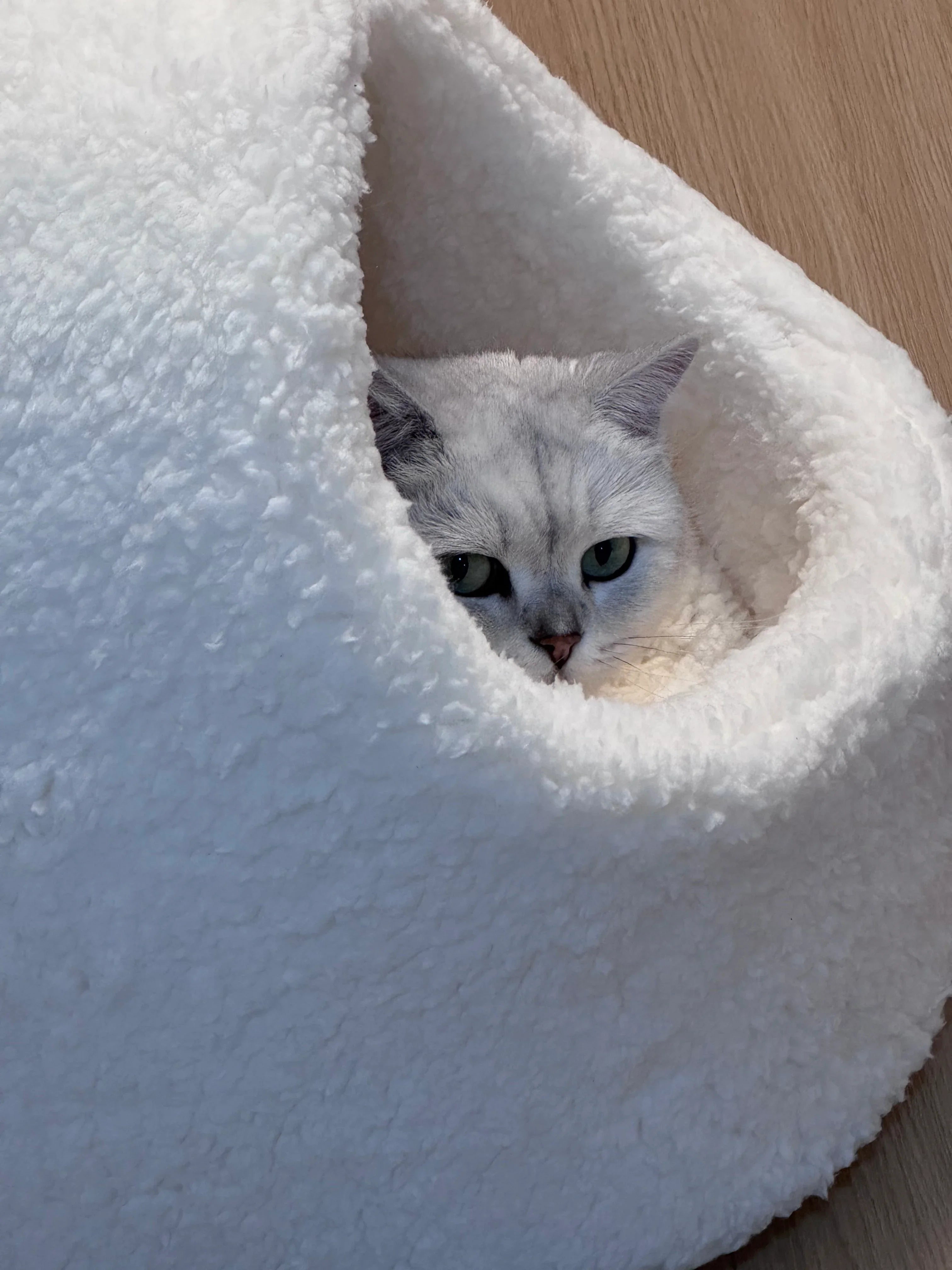 Dailypets Cloud Fleece Cat Bed with Cozy Slipper-Inspired Design for Warm Indoor Comfort