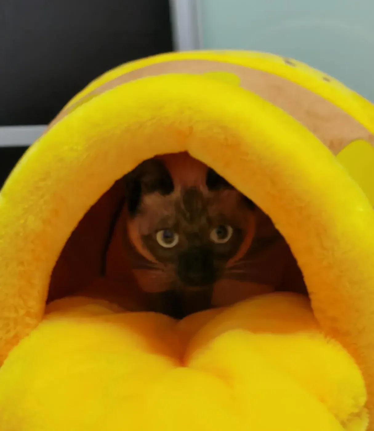 Dailypets Velvet Cat Cave Bed – Honey Pot Design with Removable Inner Cushion