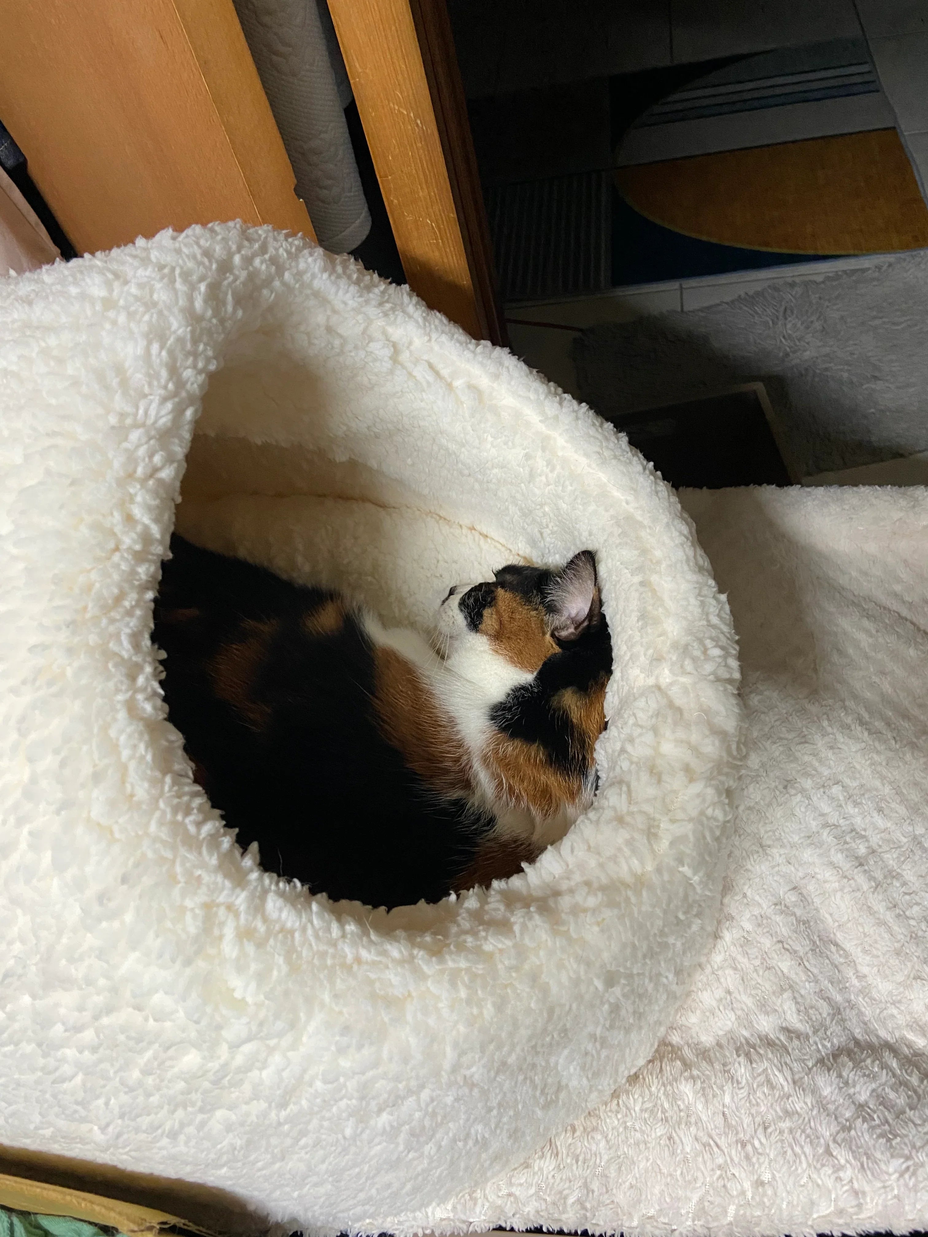 Dailypets Cloud Fleece Cat Bed with Cozy Slipper-Inspired Design for Warm Indoor Comfort