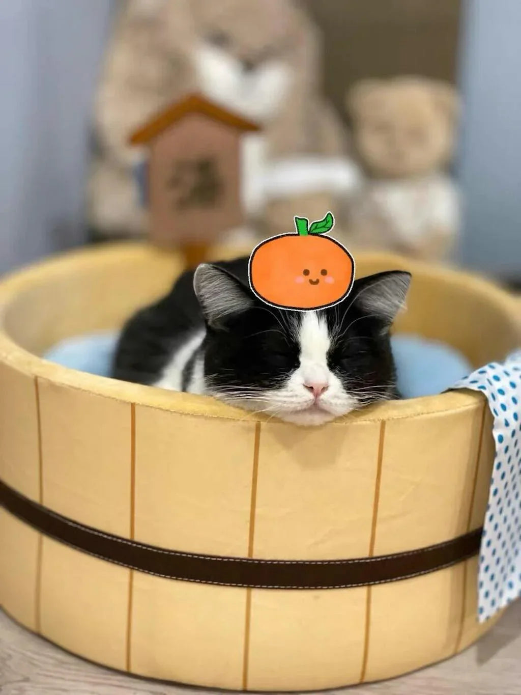 Dailypets Warm Bath Cat Bed – Plush Hot Spring Bolster Bed for Indoor Cats