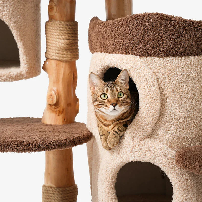 Dailypets Solid Wood Mushroom Cat Tree with Multi-Level Platforms and Sisal Scratching Posts