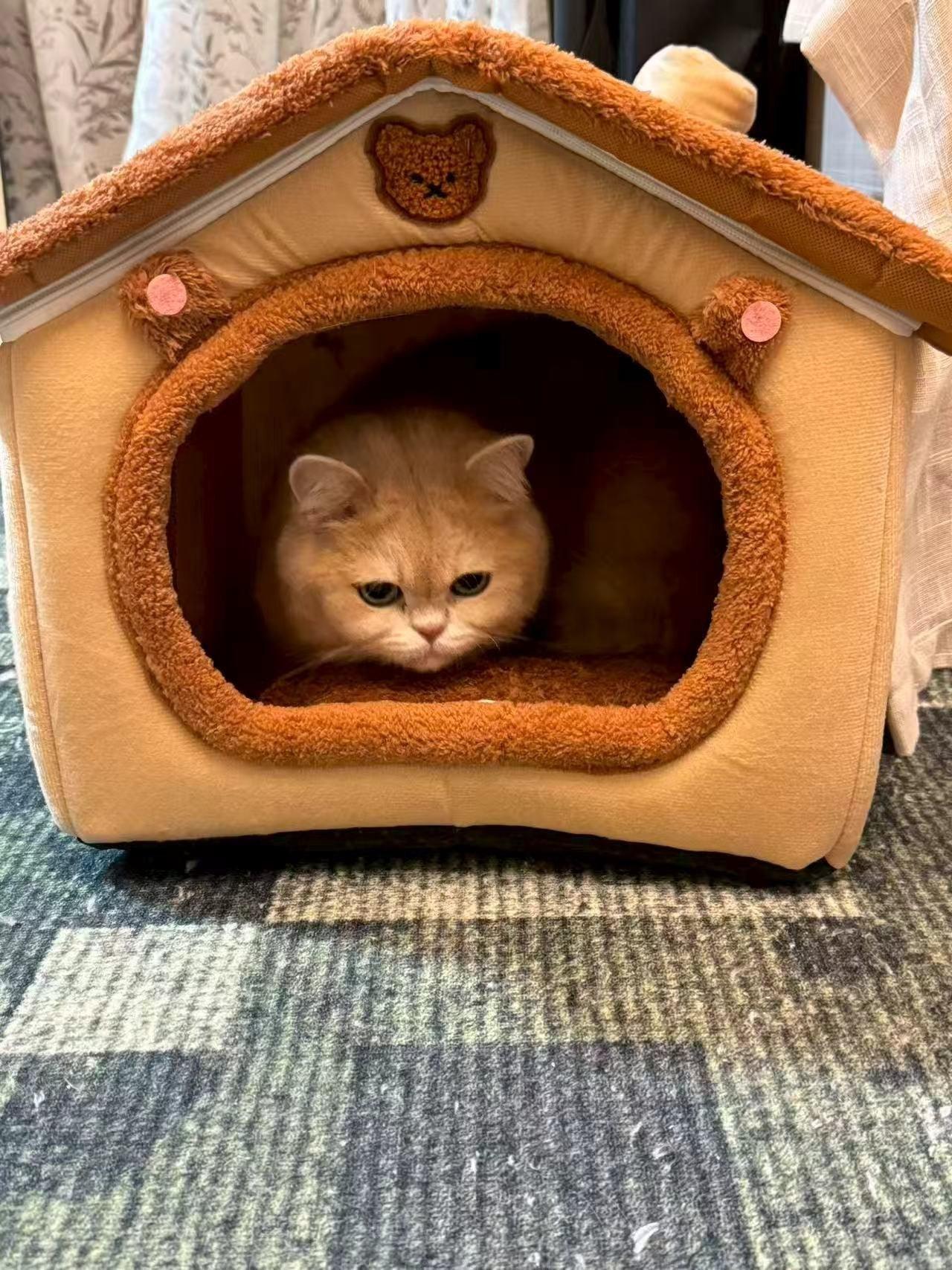 Dailypets Plush Rabbit Cat Cave Bed with Cozy Enclosed Design for Warm Indoor Comfort