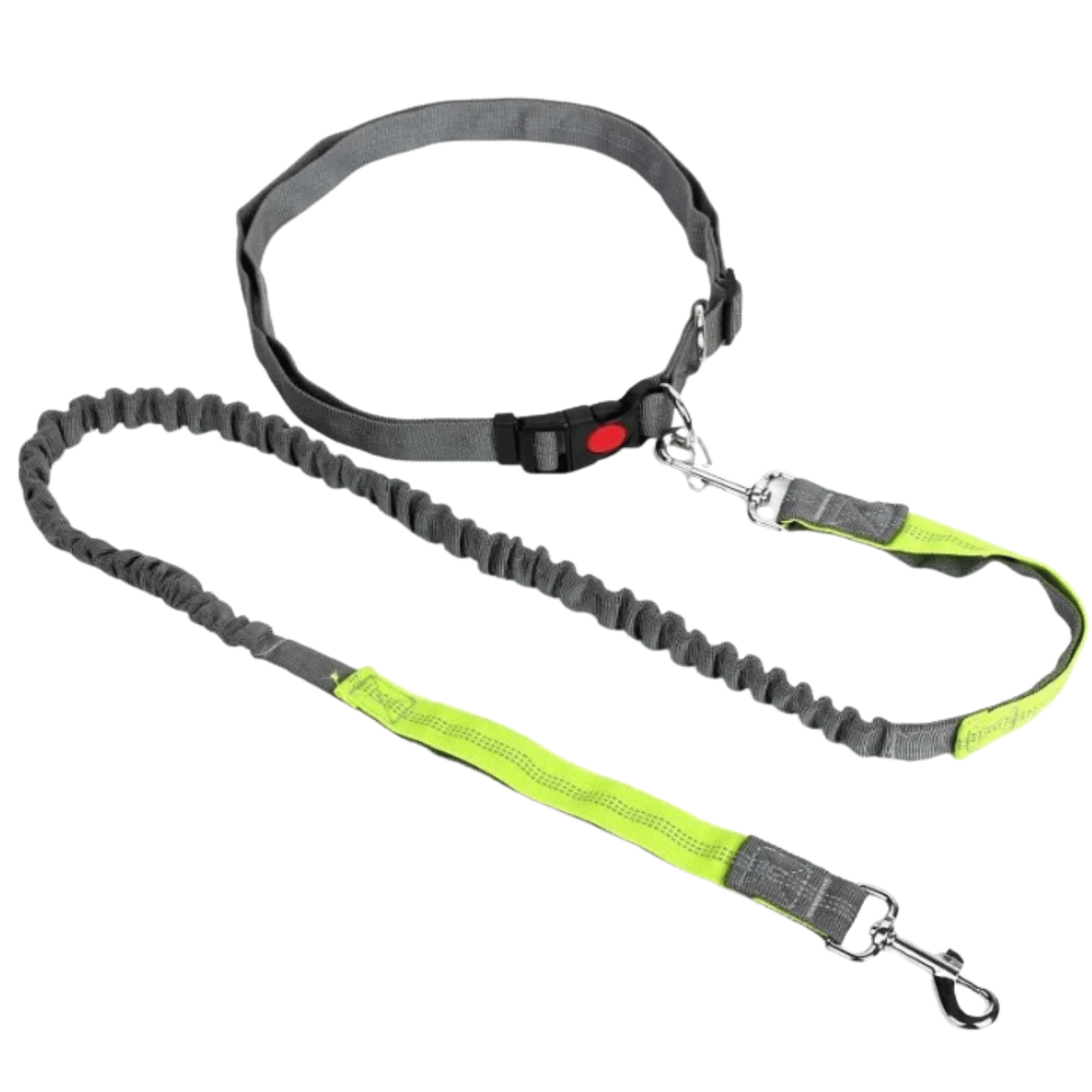 Dailypets Hands-Free Waist Dog Leash with Shock-Absorbing Bungee for Walking and Running