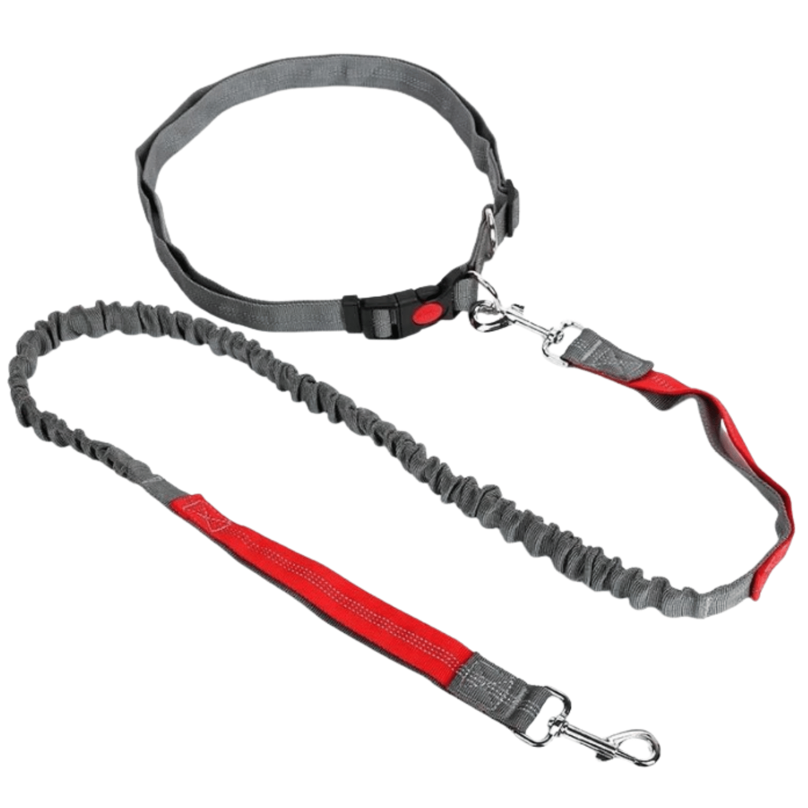 Dailypets Hands-Free Waist Dog Leash with Shock-Absorbing Bungee for Walking and Running