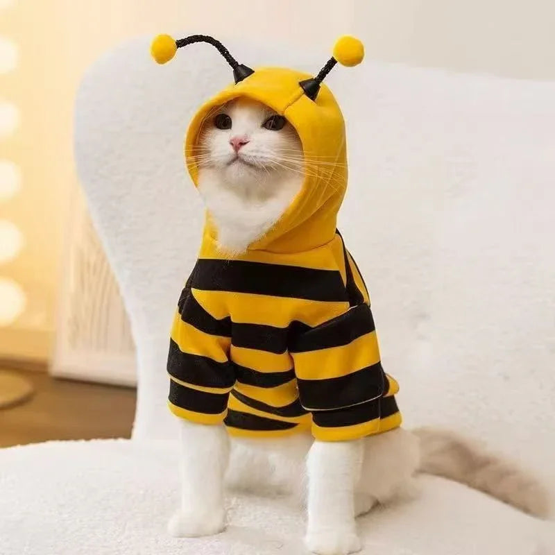 Dailypets Bumble Bee Cat Hoodie for Indoor Cats with Cozy Everyday Comfort