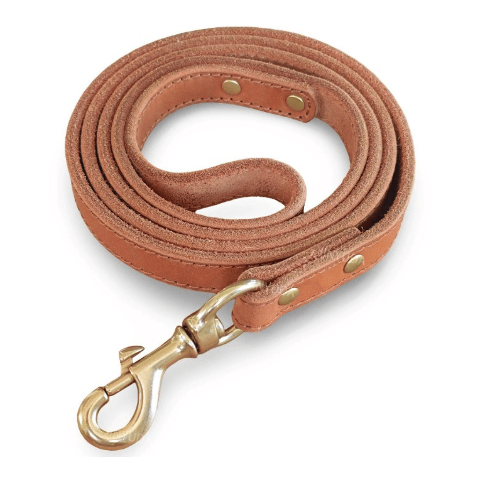 Dailypets Premium Leather Dog Lead with 150 cm Length for Everyday Walking Control