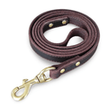Dailypets Premium Leather Dog Lead with 150 cm Length for Everyday Walking Control