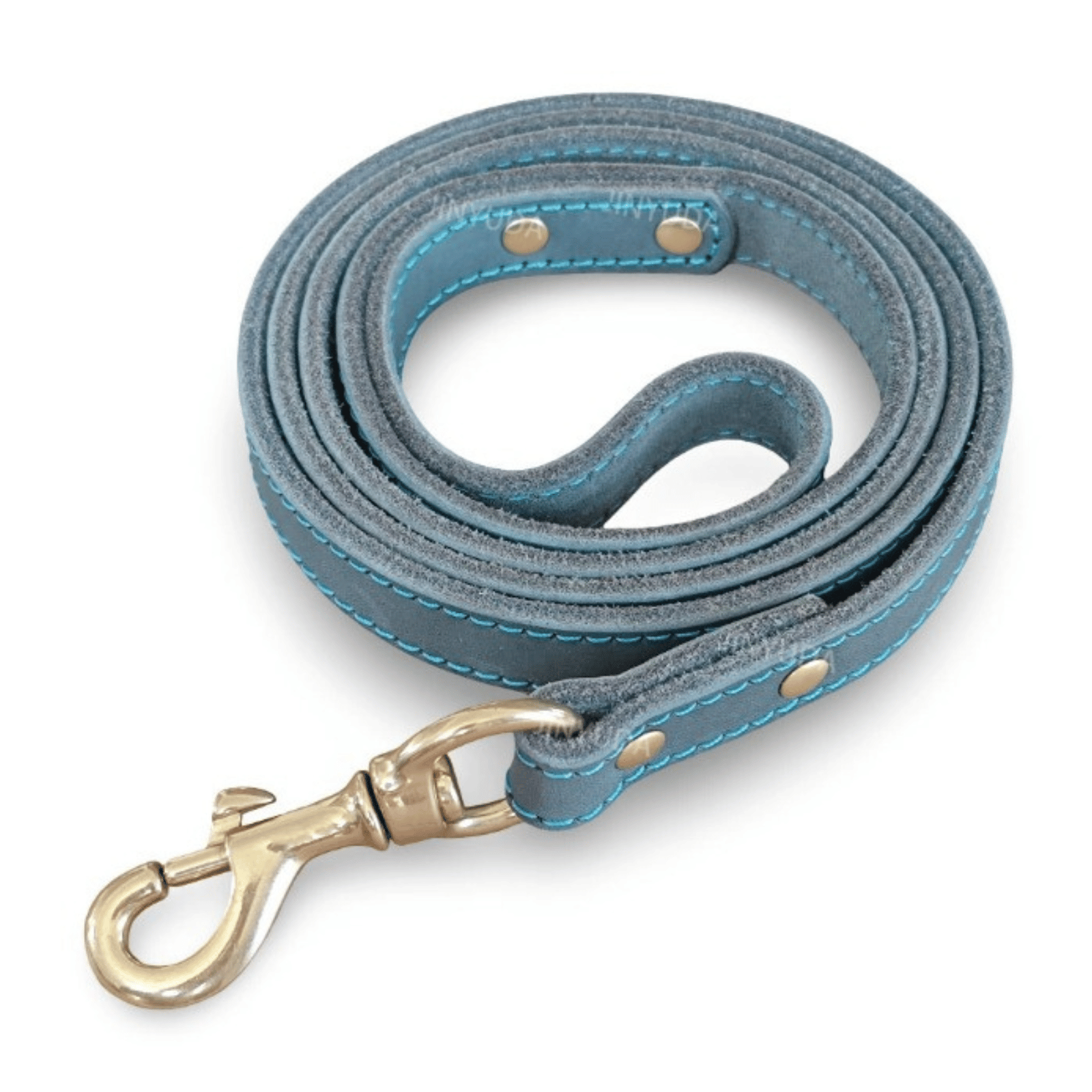 Dailypets Premium Leather Dog Lead with 150 cm Length for Everyday Walking Control