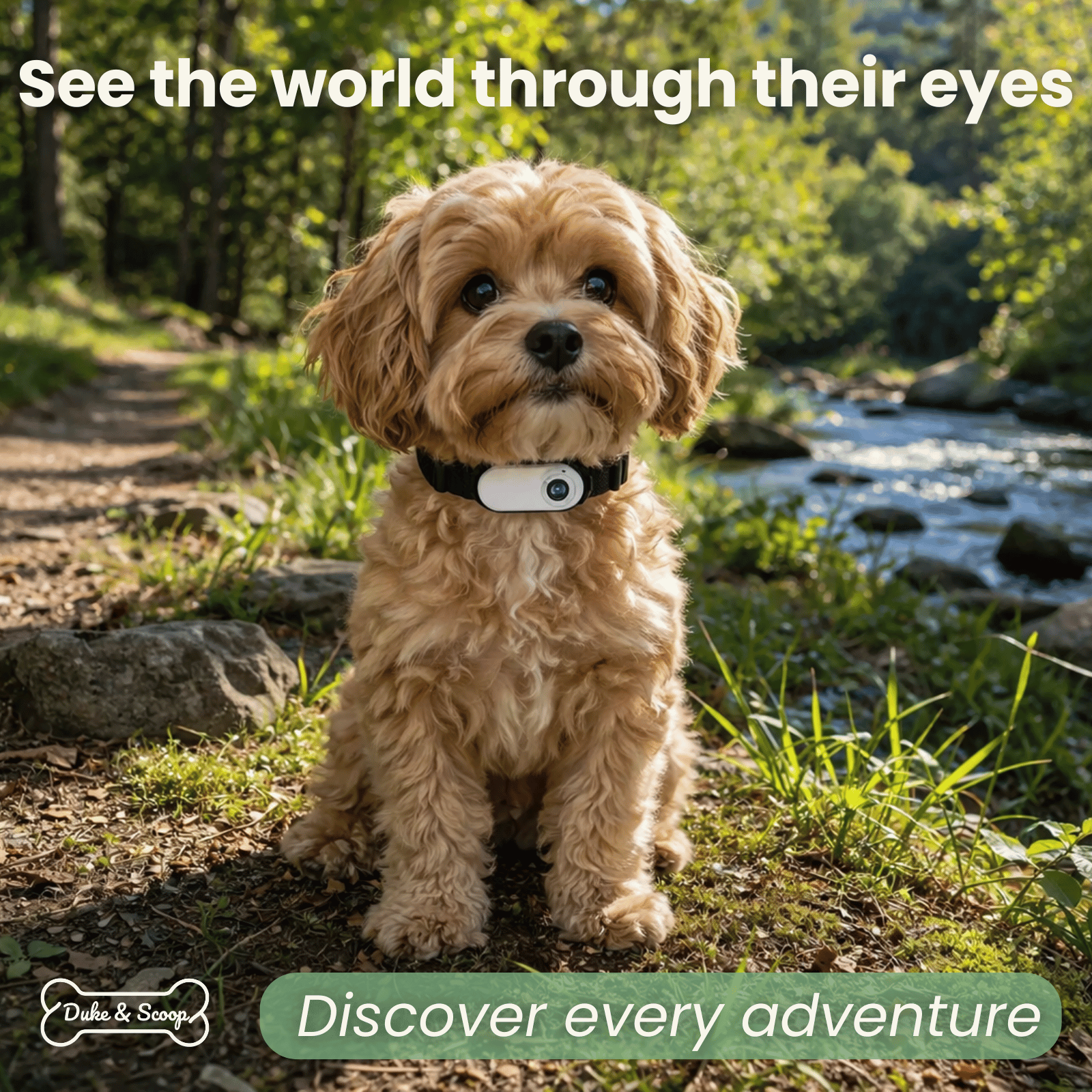 Dailypets Wearable Pet Collar Camera with 1080P Video and Compact Lightweight Design