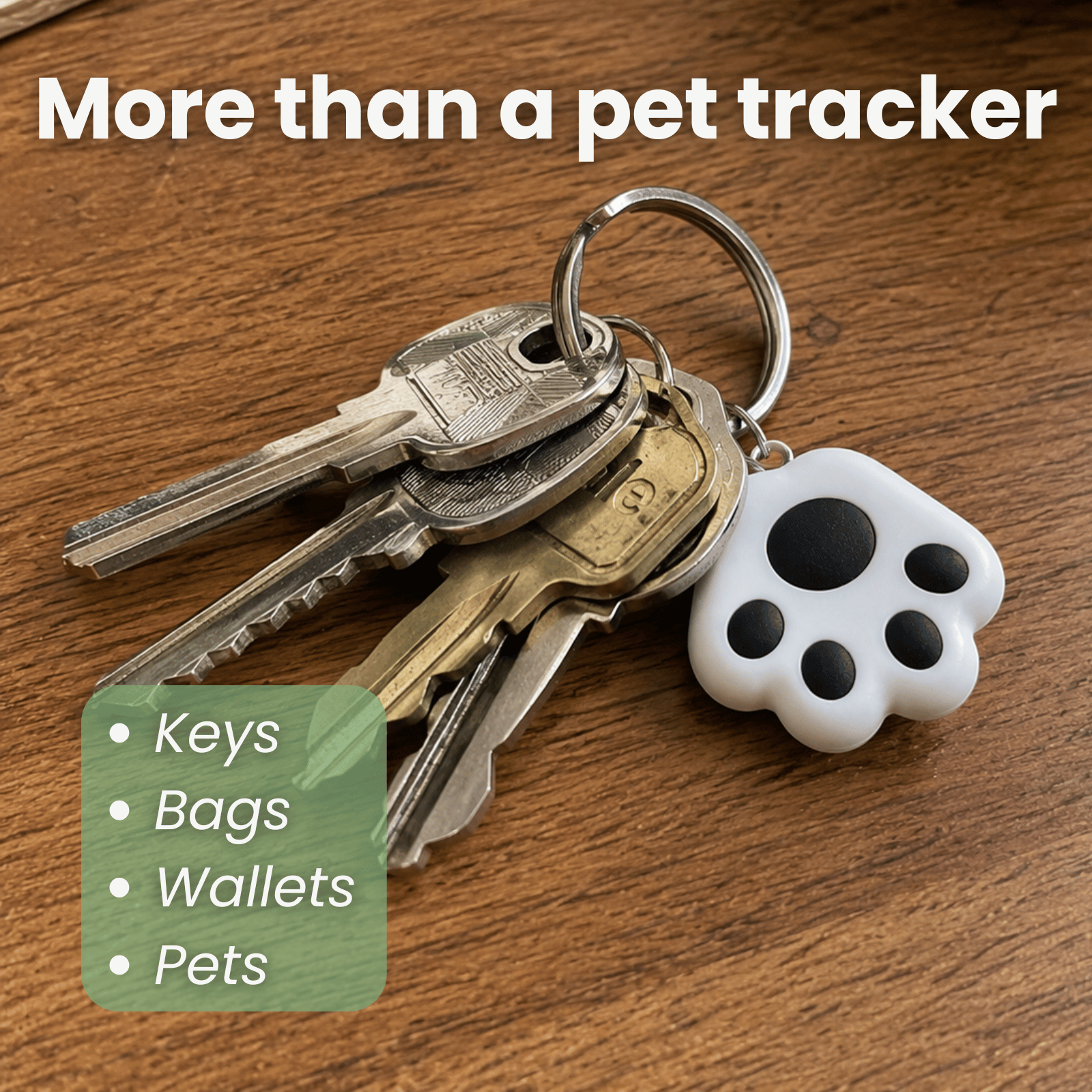 Dailypets Compact Bluetooth Tracker for Pets, Keys, and Bags