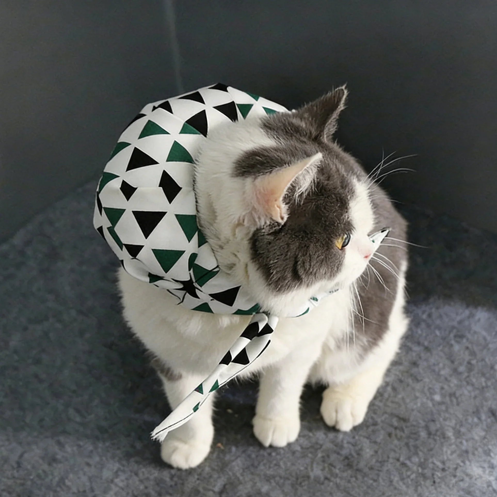 Dailypets Soft Chiffon Cat Scarf with Playful Backpack Detail
