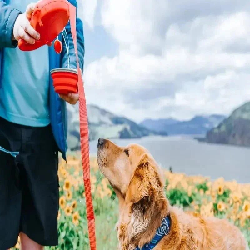 Dailypets 4-in-1 Dog Leash with Water Bottle, Bowl, and Waste Bag Dispenser