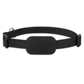 Dailypets Bluetooth Pet Locator for Apple Devices with Real-Time Find My Integration