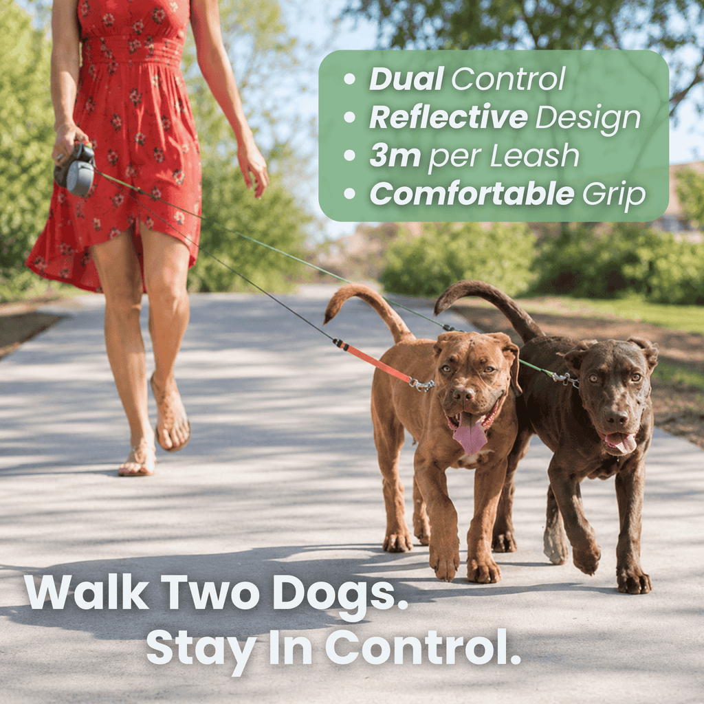 Dailypets Dual Retractable Dog Leash with Anti-Twist System for Two Small and Medium Dogs
